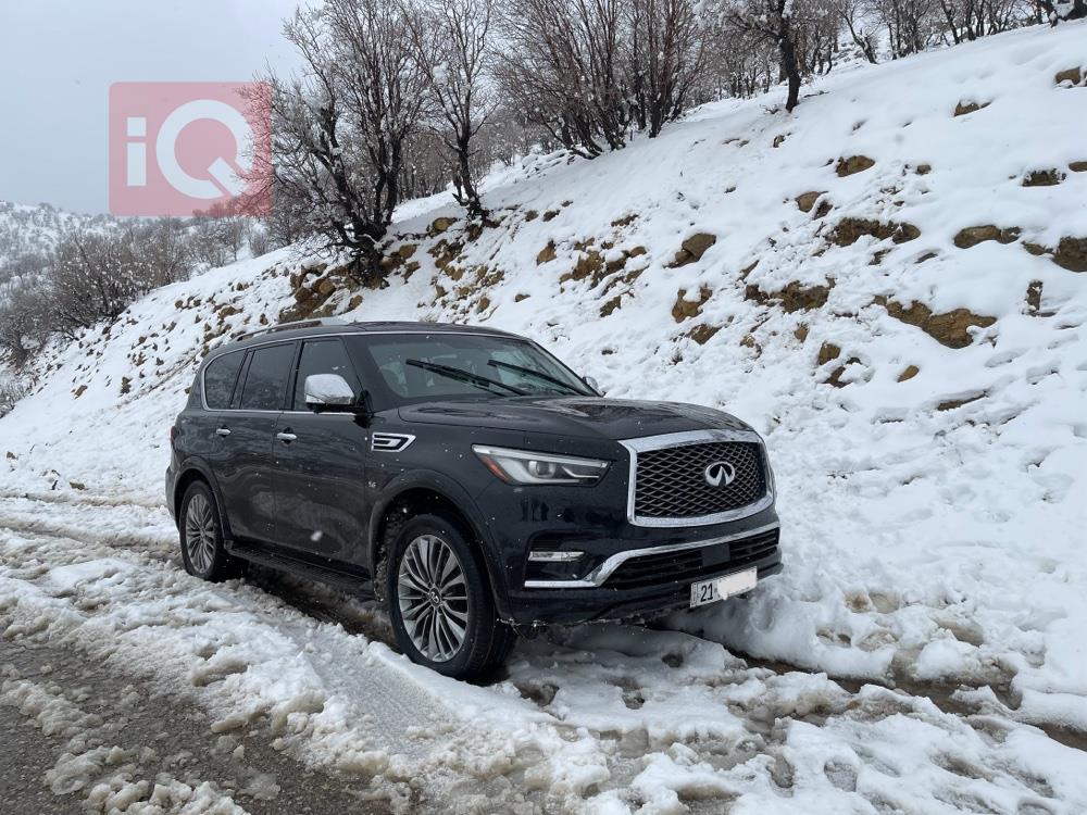 Infiniti QX80